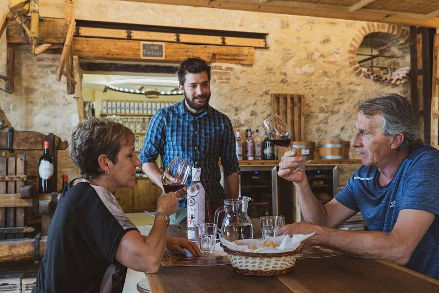 From Verona: Valpolicella Winery Tour with Amarone Vintages - Entering the historic winery and old icehouse