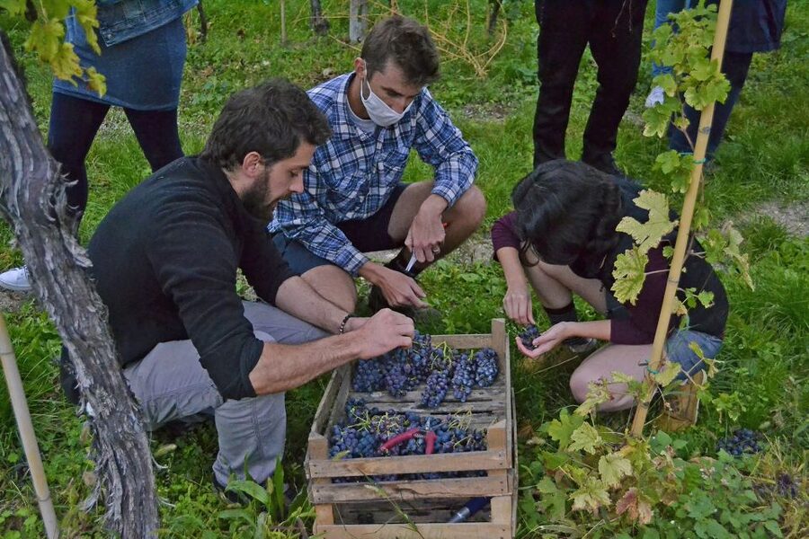 From Verona: Valpolicella Winery Tour with Amarone Vintages - Getting there from Verona