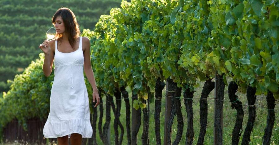 From Vienna: Half-day Countryside Wine Tour with Meal - Key points to know before you book