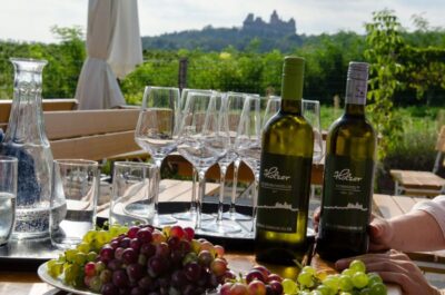 Half-day Countryside Wine Tour with Meal