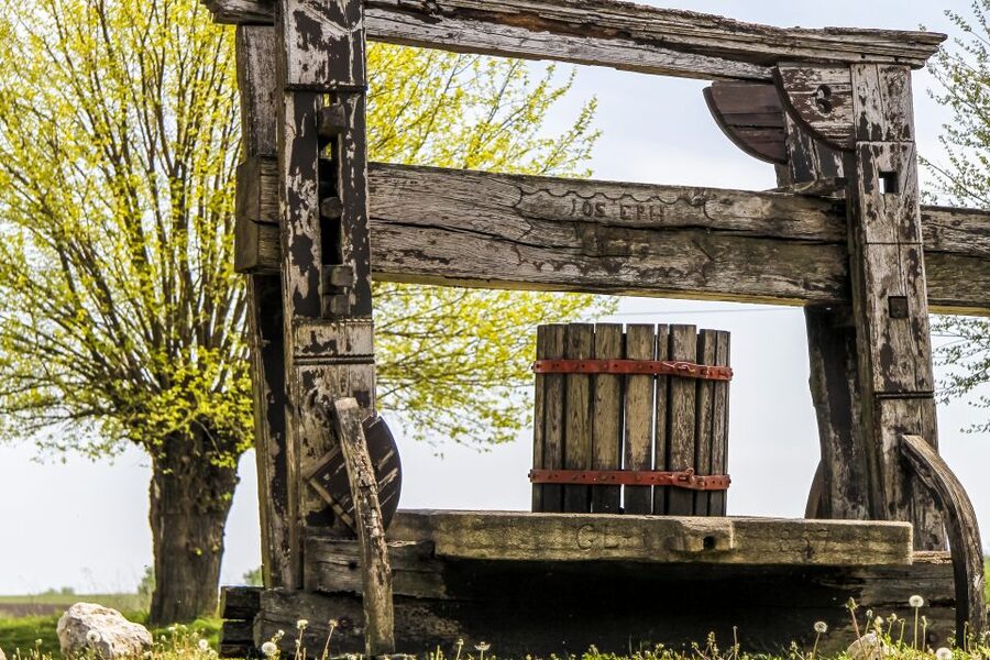 From Vienna: Half-day Countryside Wine Tour with Meal - The third winery option and the meal