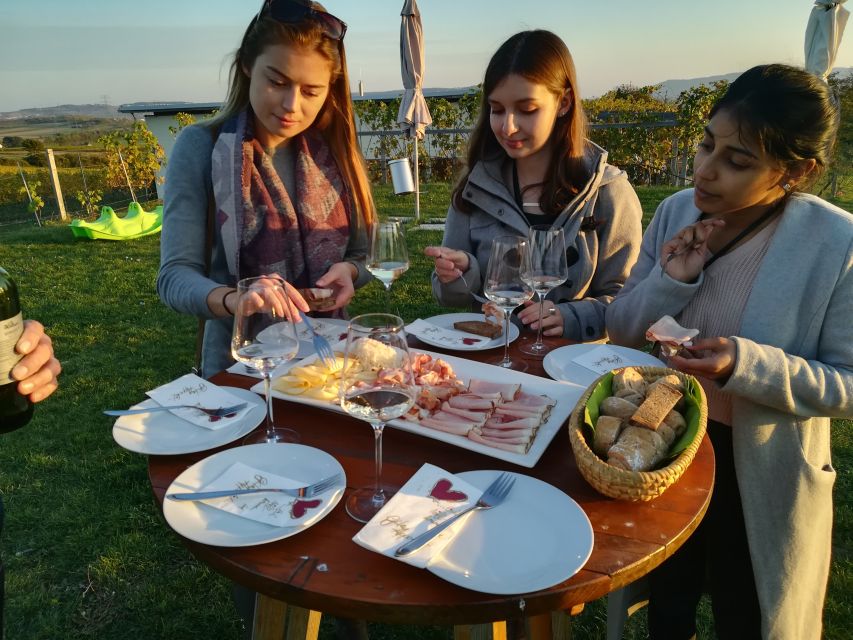 From Vienna: Half-day Countryside Wine Tour with Meal - Timing, comfort, and practical details