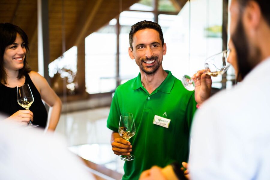 From Vienna: Wachau Valley Day Tour with Wine Tasting - Should you book it?