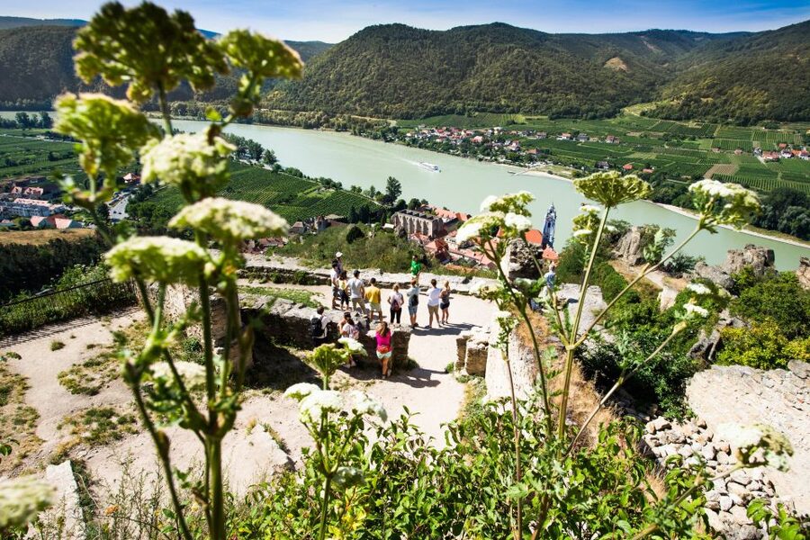 From Vienna: Wachau Valley Day Tour with Wine Tasting - Cruising from Spitz to Melk