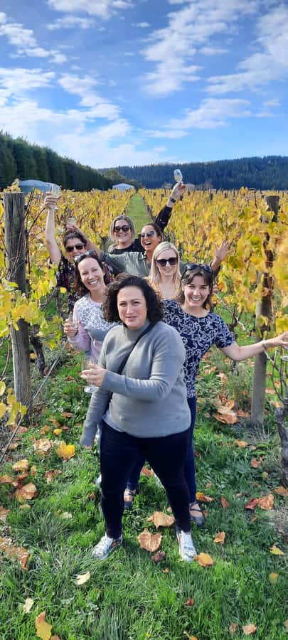 From Wellington: Martinborough Winery Tour - Why Martinborough is worth the road trip