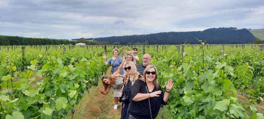 From Wellington: Martinborough Winery Tour - Lunch, Martinborough town, and the day’s breathing room