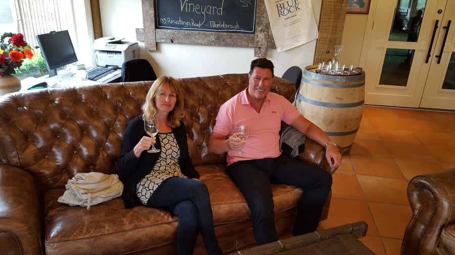 From Wellington: Martinborough Winery Tour - What the guides add to the outing
