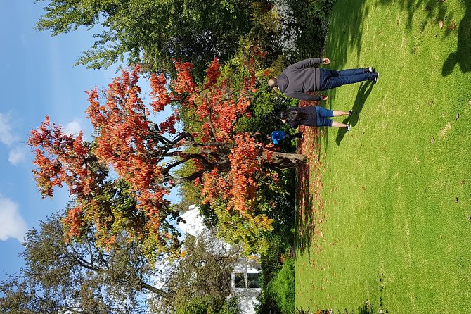 Full Day Afrivista Wine Tours from Stellenbosch - Why the small group matters