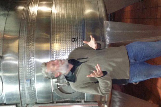 Full Day Afrivista Wine Tours from Stellenbosch - Pickup, timing, and the practical side