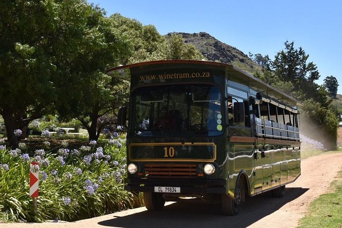 Full-Day Franschhoek Hop On Hop Off Wine Tram Tour from Cape Town - Tastings, gin, and food beyond the wine