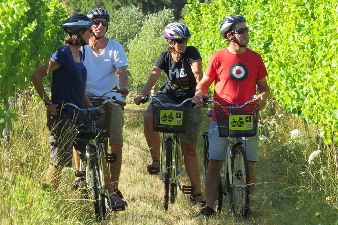 Full-Day Marlborough Wine Region Bike Hire - Why Marlborough works so well by bicycle