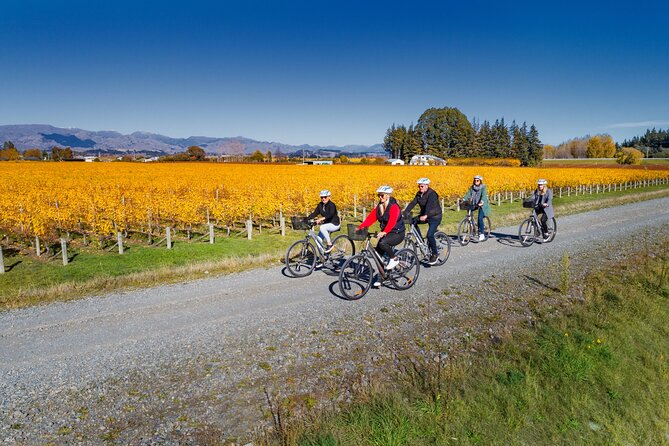 Full-Day Marlborough Wine Region Bike Hire - Who will enjoy this most