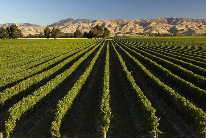 Full-Day Marlborough Wine Tour from Blenheim - Guides who shape the experience