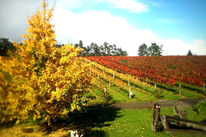 Full-Day Wine Tasting Tour in Auckland with 3-Course Vineyard Lunch - Westbrook: a boutique finish in the Ararimu Valley