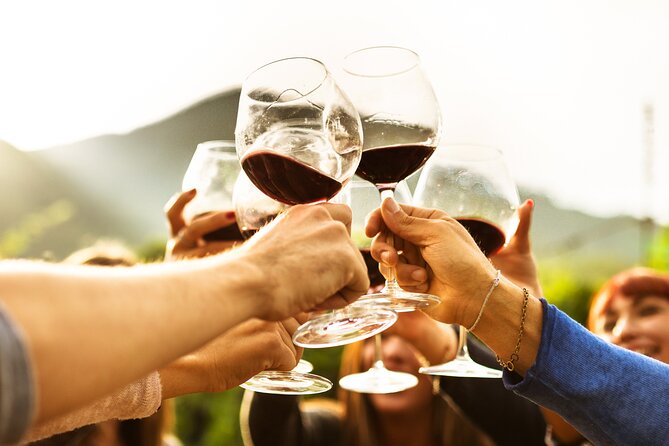Full-Day Wine Tasting Tour in Auckland with 3-Course Vineyard Lunch - Practical details before you reserve