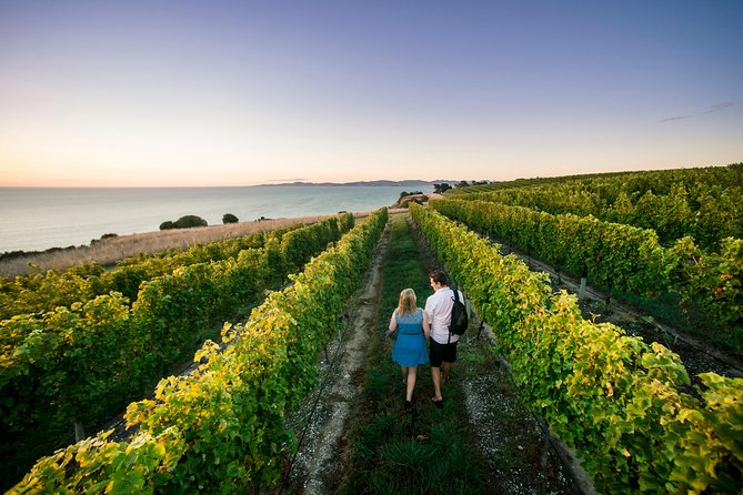 Full Day Winemakers Tour in Marlborough - Lunch at Allan Scott or Saint Clair