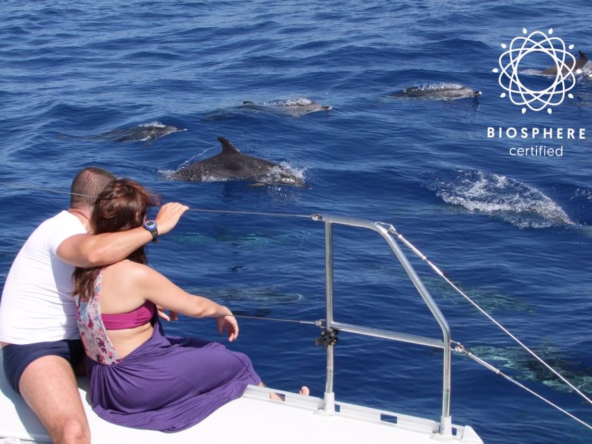 Funchal: Cabo Girão, Wines Tasting and Dolphins Watching - One day, two very different Madeiras