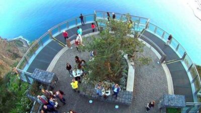 Cabo Girão, Wines Tasting and Dolphins Watching