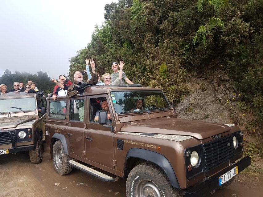 Funchal: Cabo Girão, Wines Tasting and Dolphins Watching - Three hours watching dolphins and whales