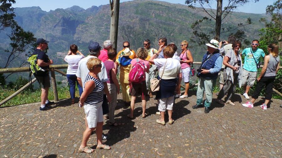 Funchal: Cabo Girão, Wines Tasting and Dolphins Watching - What the $104 price really buys you