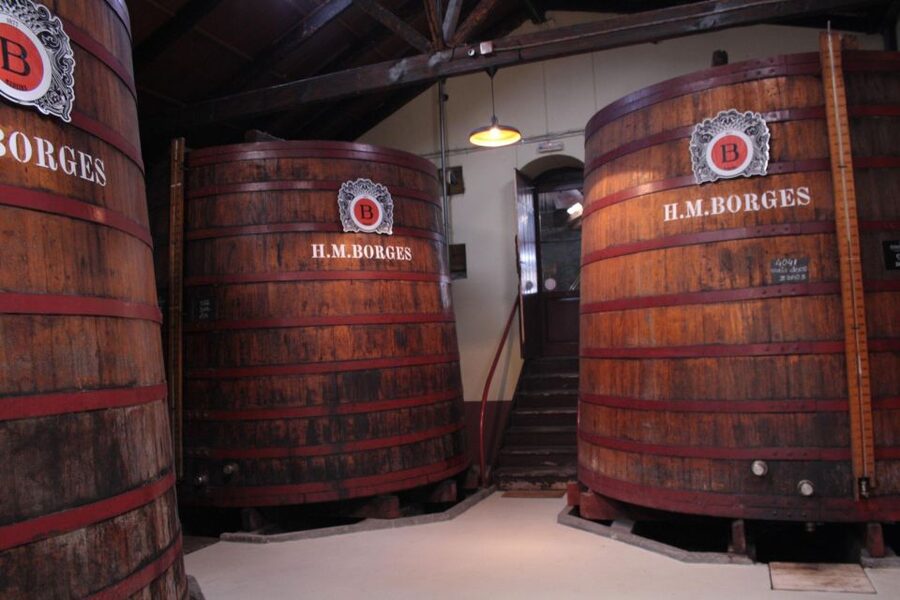Funchal: H.M. Borges Winery Guided Tour with Wine Tasting - Who will enjoy this Funchal wine tour?