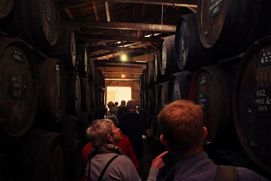 Funchal: H.M. Borges Winery Guided Tour with Wine Tasting - The winery tour explains what makes Madeira wine different