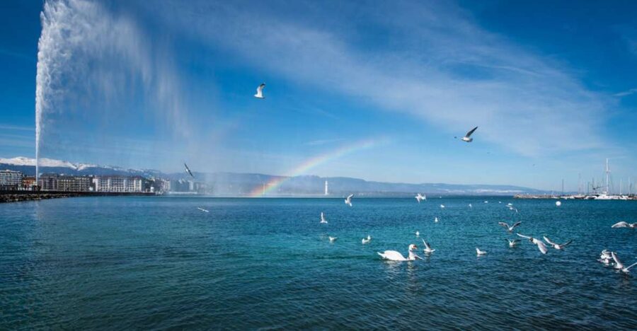 Geneva: Scenic Lake Cruise with Snacks and Wine - An hour across Lake Geneva