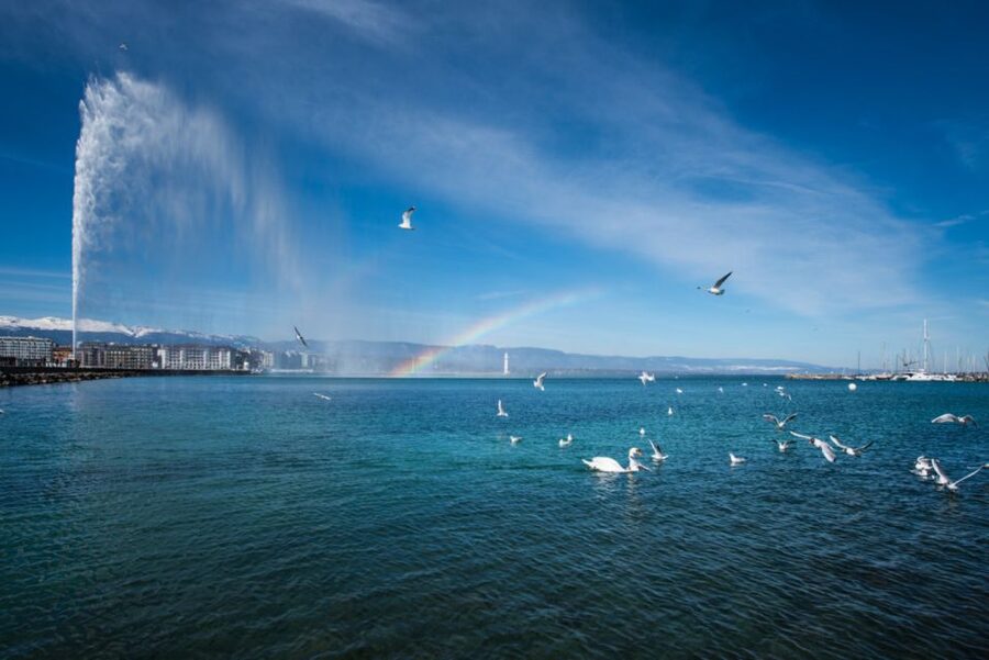 Geneva: Scenic Lake Cruise with Snacks and Wine - Is $37 good value in Geneva?