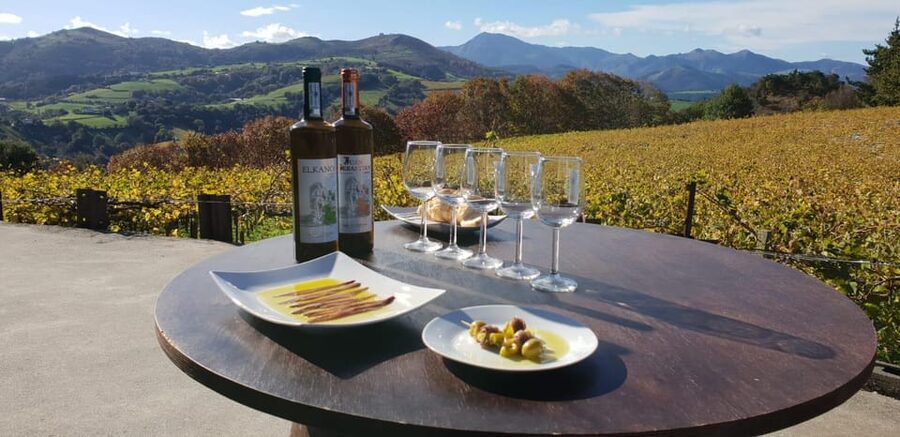 Getaria Txakoli wine tour from San Sebastian - Inside the txakolindegi