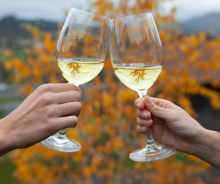 Getaria Txakoli wine tour from San Sebastian - What $171 gets you