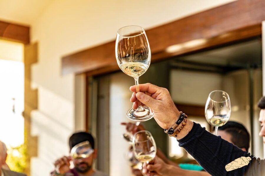 Getaria Txakoli wine tour from San Sebastian - Guides who add value