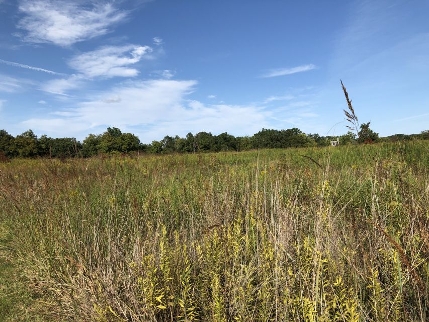 Gettysburg: Beer, Wine, and History Guided Walking Tour - Should you book this Gettysburg tour?