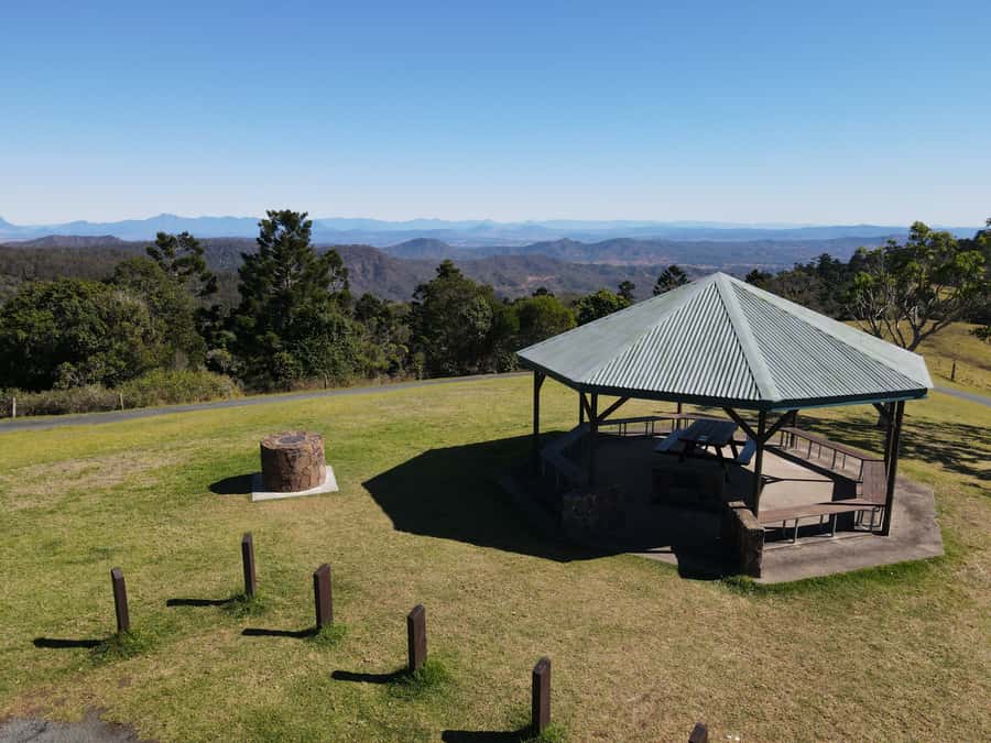 Gold Coast: Lamington Treetops, Wildlife and Vineyard Visit - Alpacas, animals, and the limits of the add-ons