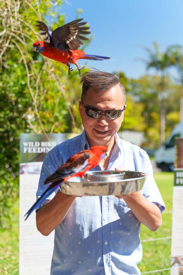 Gold Coast: Lamington Treetops, Wildlife and Vineyard Visit - The treetops of Lamington National Park