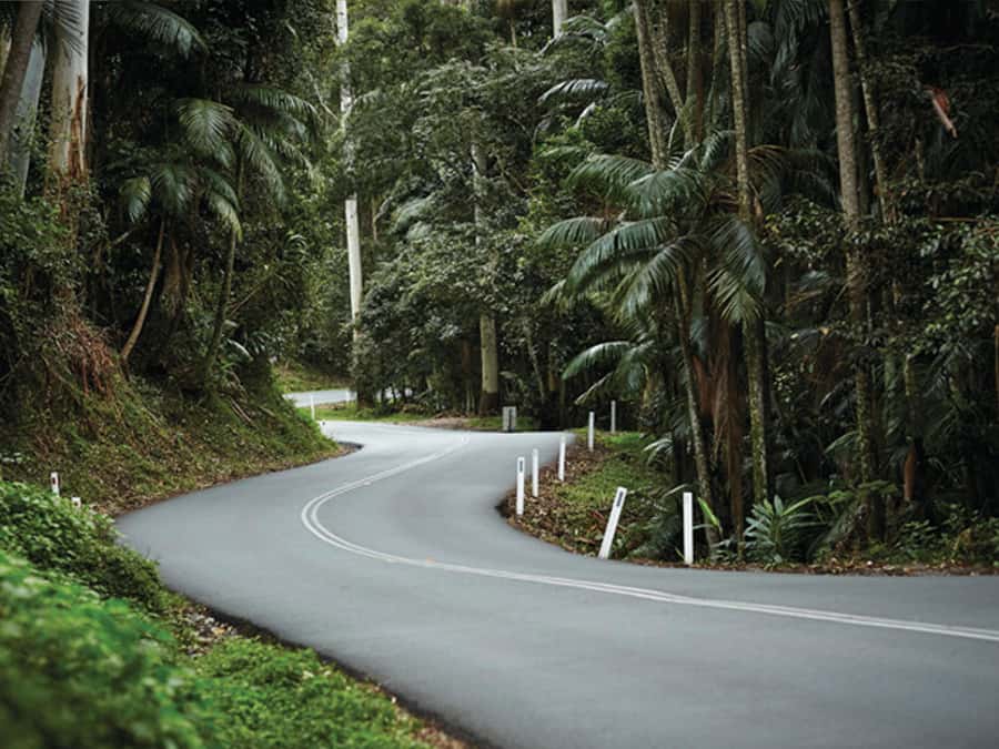Gold Coast: Tamborine Mountain Local Winery Tour with Lunch - Hampton Estate pairs wine with lunch