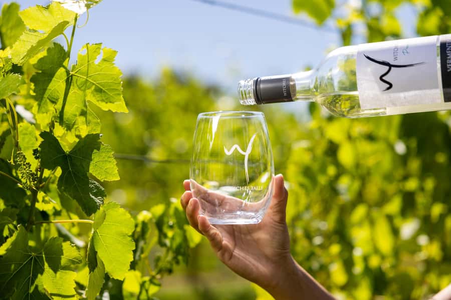 Gold Coast: Tamborine Mountain Local Winery Tour with Lunch - The guides make the long day work