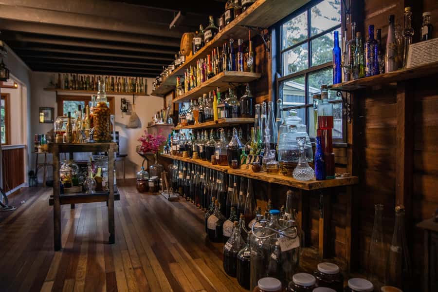Gold Coast: Tamborine Mountain Local Winery Tour with Lunch - Who will enjoy this tour most?