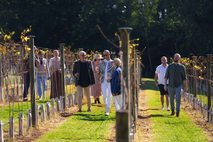 Gold Coast: Tamborine Mountain Wine Tour - Practical tips for a smoother day