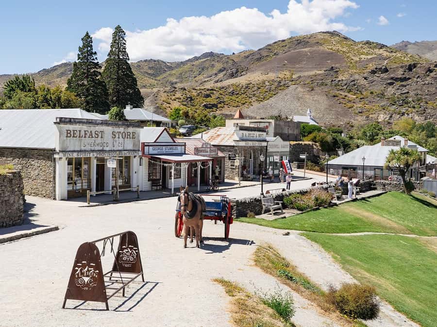 Gourmet Food and Wine Tour with Lunch and Wine Tastings - Bannockburn tasting and local cheese