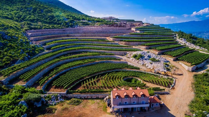 Građani: Winery Tour and Tasting at Winery Lipovac - The 45-minute tour, from vineyard to bottling hall