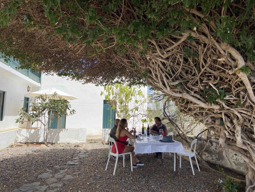 Gran Canaria: Best Wineries and Views Tour - Who should book this experience