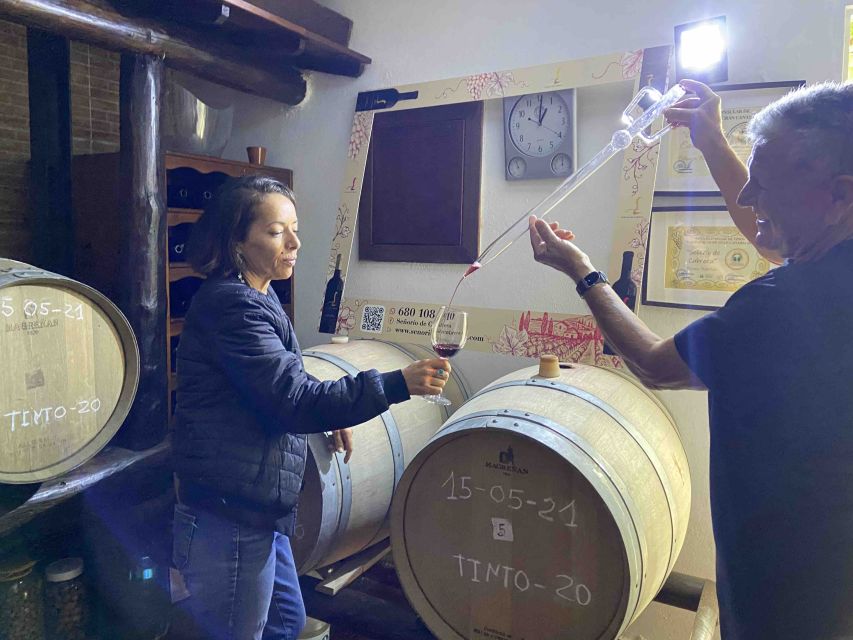 Gran Canaria: Best Wineries and Views Tour - Caldera de Bandama and the volcanic viewpoint