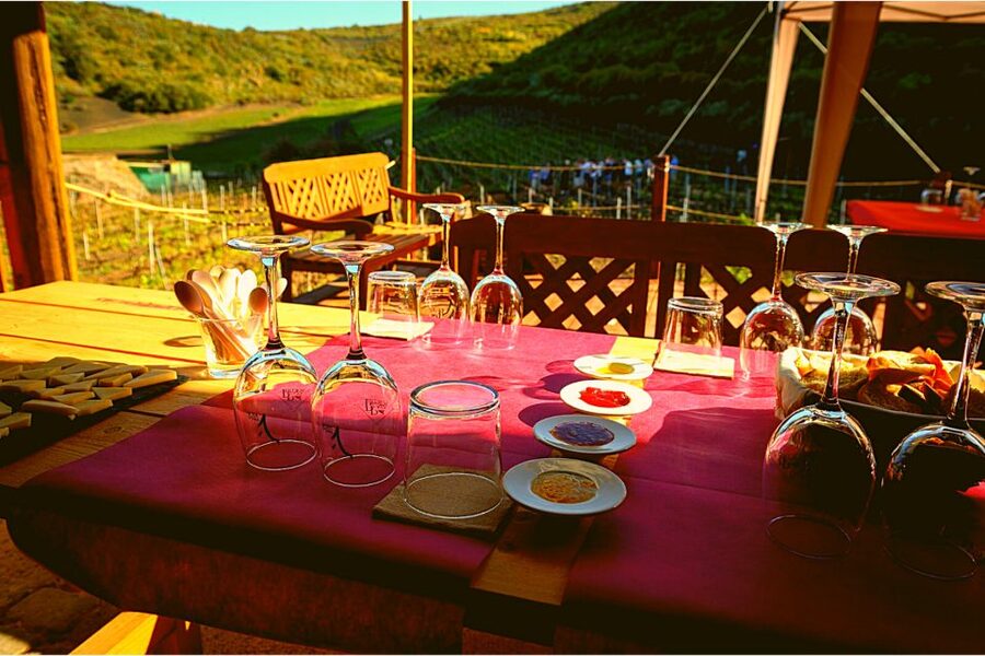 Gran Canaria: Best Wineries and Views Tour - What the wine tasting is really like