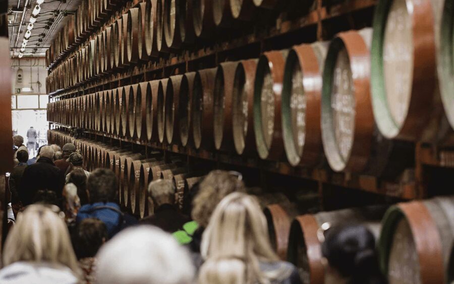 Gran Canaria: Rum, Wines and Banana Tour - The guides shape the whole day