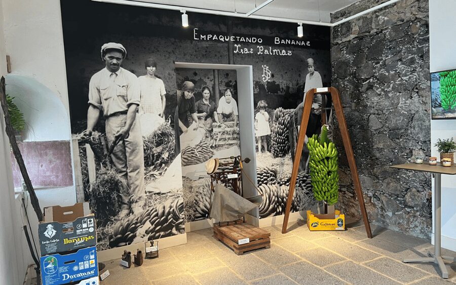 Gran Canaria: Rum, Wines and Banana Tour - Transport, timing, and the real cost of the day