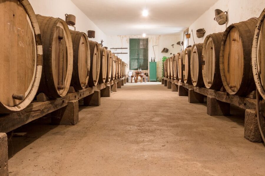 Gran Canaria: Winery Tour, Wine Museum, and Tasting - Entering the cellar and comparing old with new