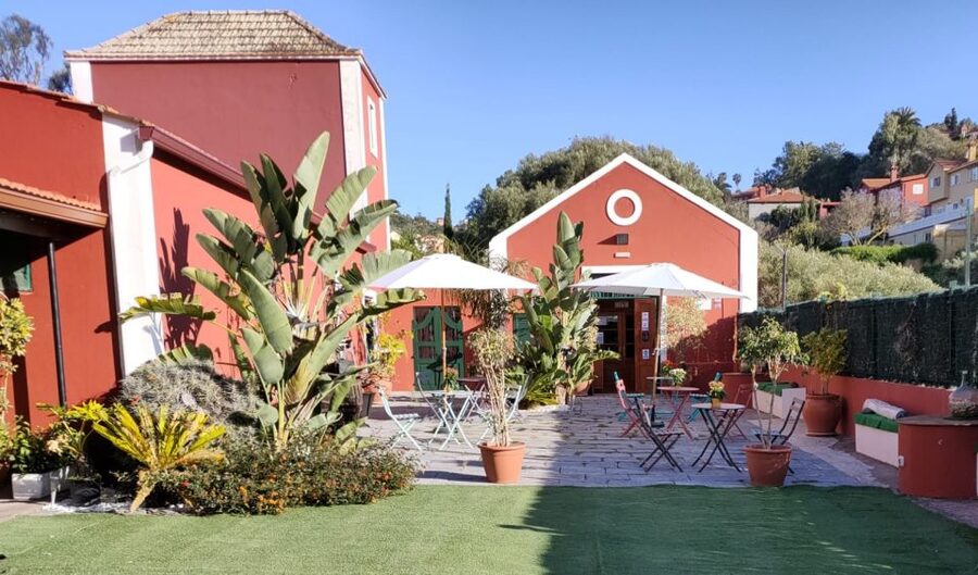Gran Canaria: Winery Tour, Wine Museum, and Tasting - Two wines with cheese, toast, and olives