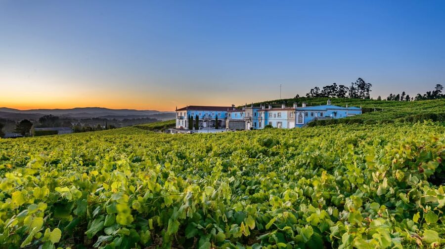 Granbazán Winery: Guided Tour and Wine Tasting - Key points to know before you book