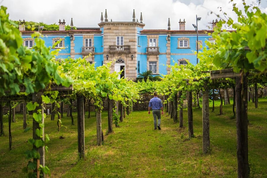 Granbazán Winery: Guided Tour and Wine Tasting - Seeing the wine-making plant and production process