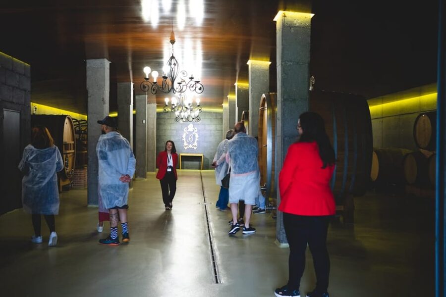 Granbazán Winery: Guided Tour and Wine Tasting - Is $29 a fair price?